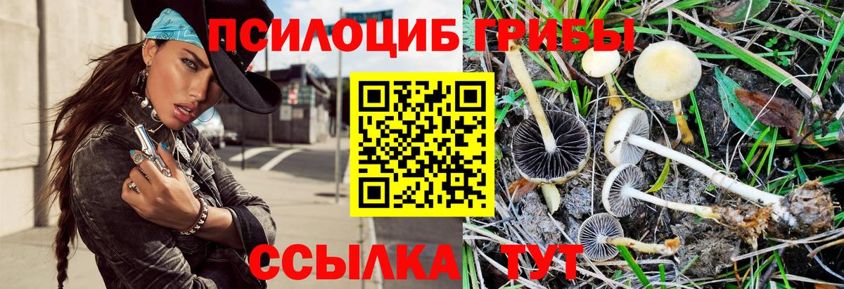 Псилоцибиновые грибы мухоморы Кувандык